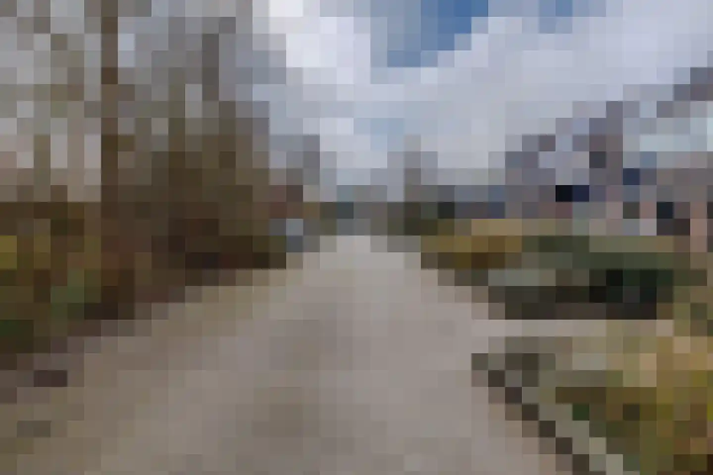Weegbree 23 Opmeer thumbnail 54