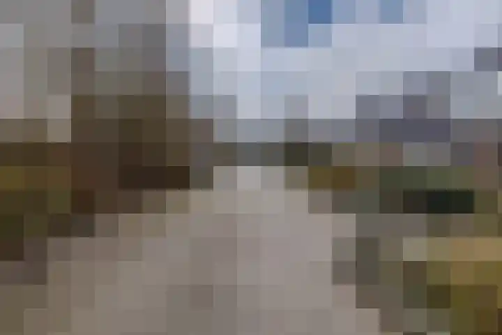 Weegbree 23 Opmeer thumbnail 54