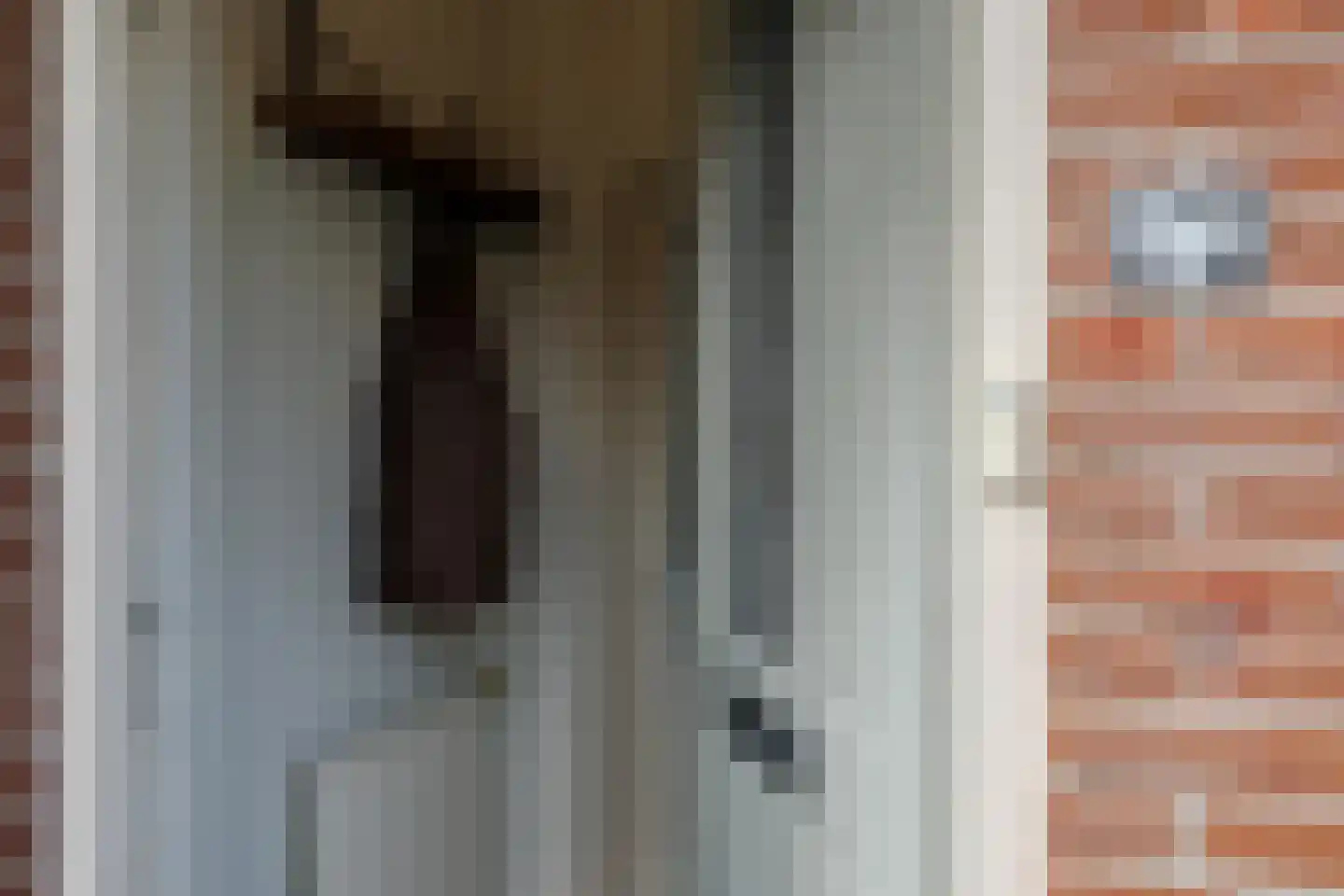 Weegbree 23 Opmeer thumbnail 6