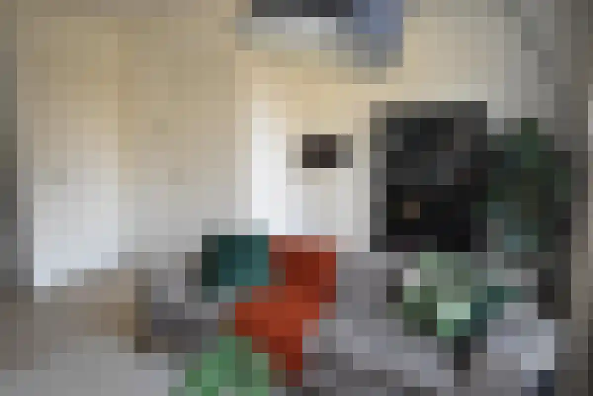 Weegbree 23 Zetten thumbnail 6