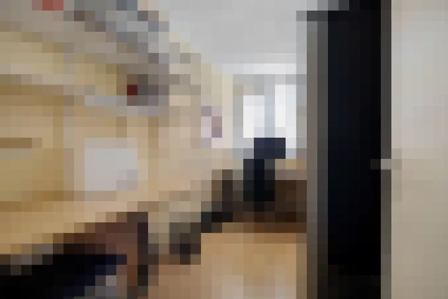 Weegbree 23 Zwaag thumbnail 12