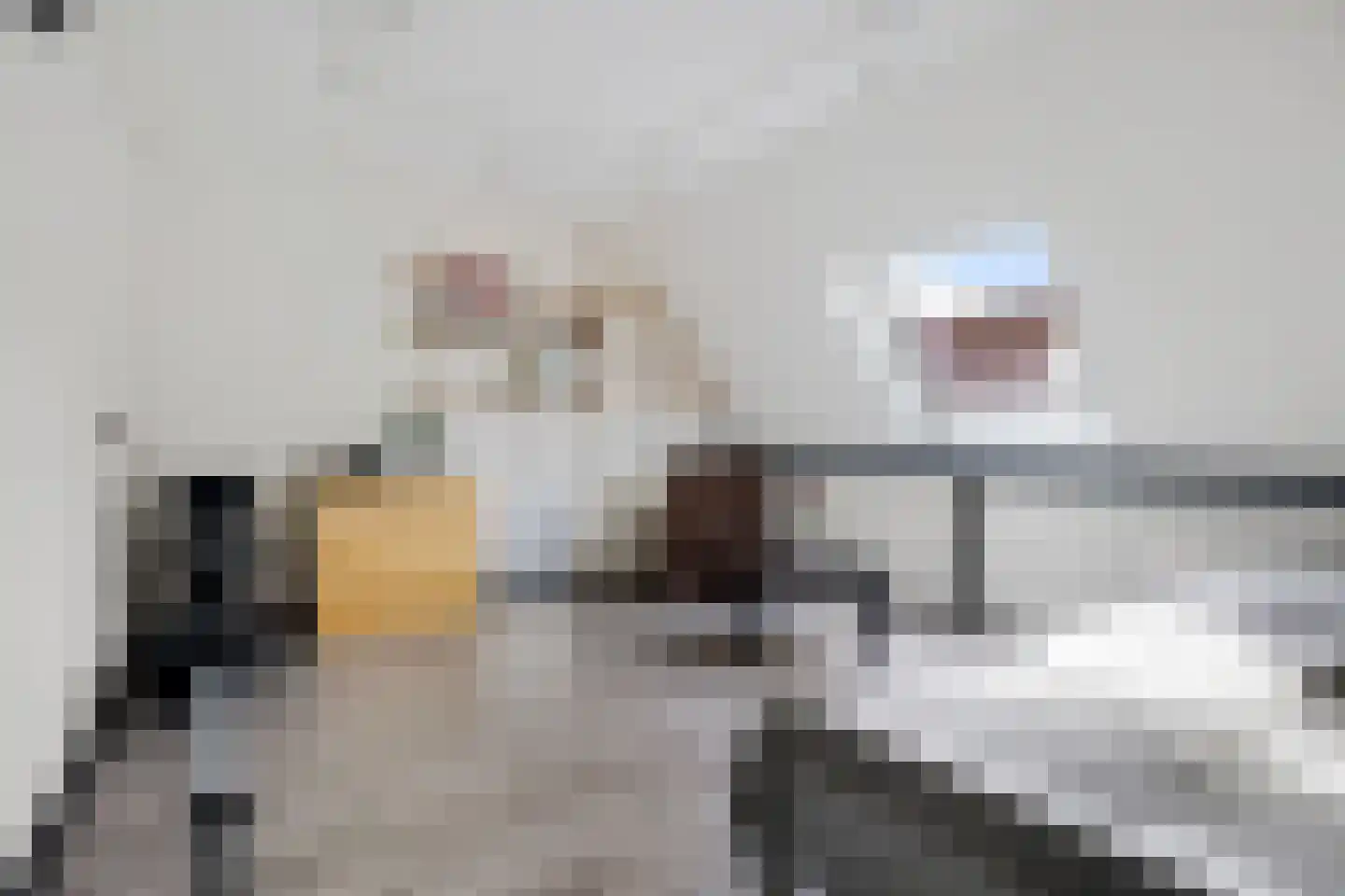 Weegbree 23 Zwaag thumbnail 14