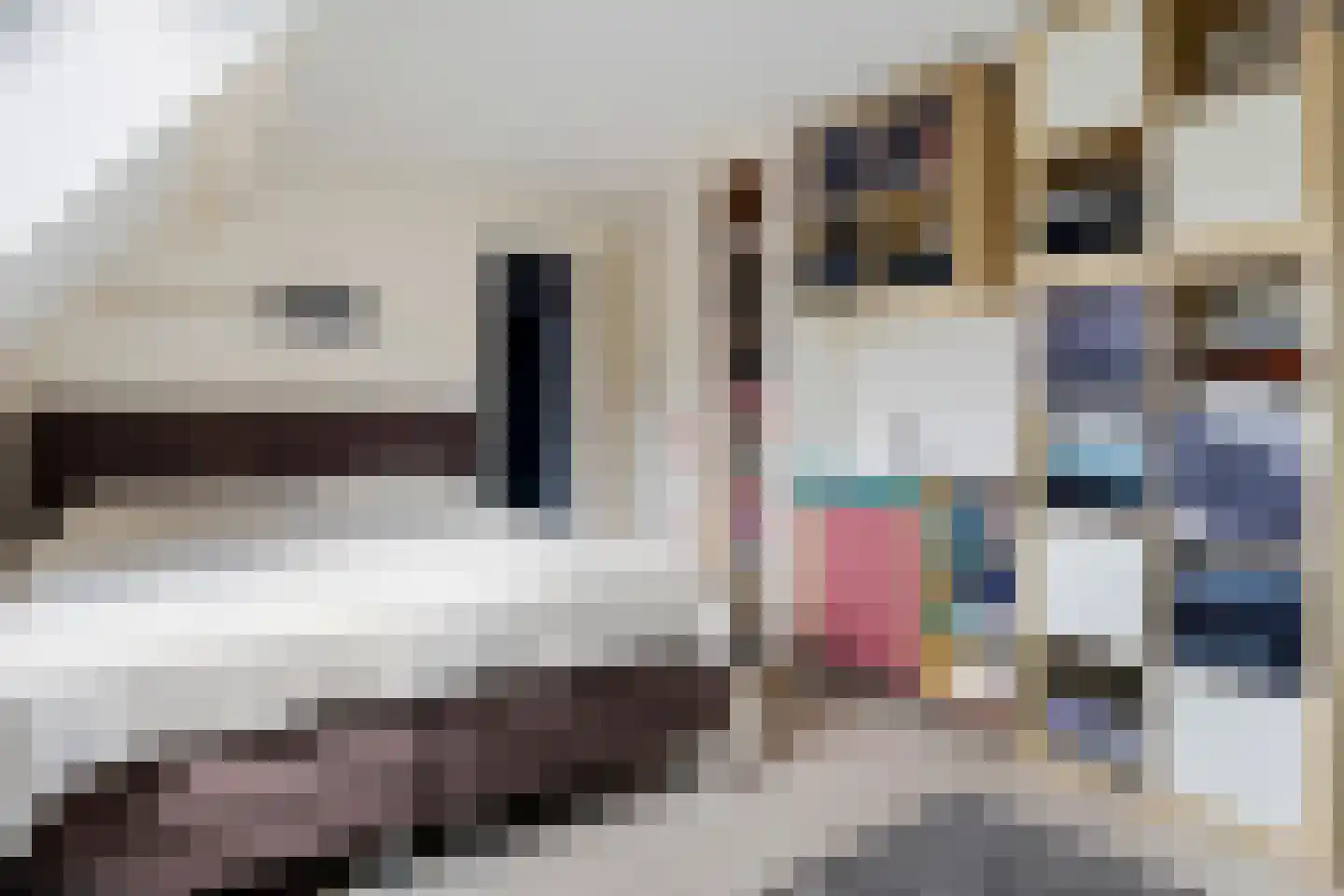 Weegbree 23 Zwaag thumbnail 20