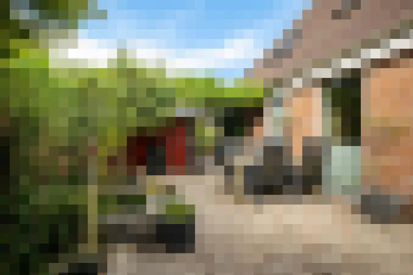 Weegbree 23 Zwaag thumbnail 24