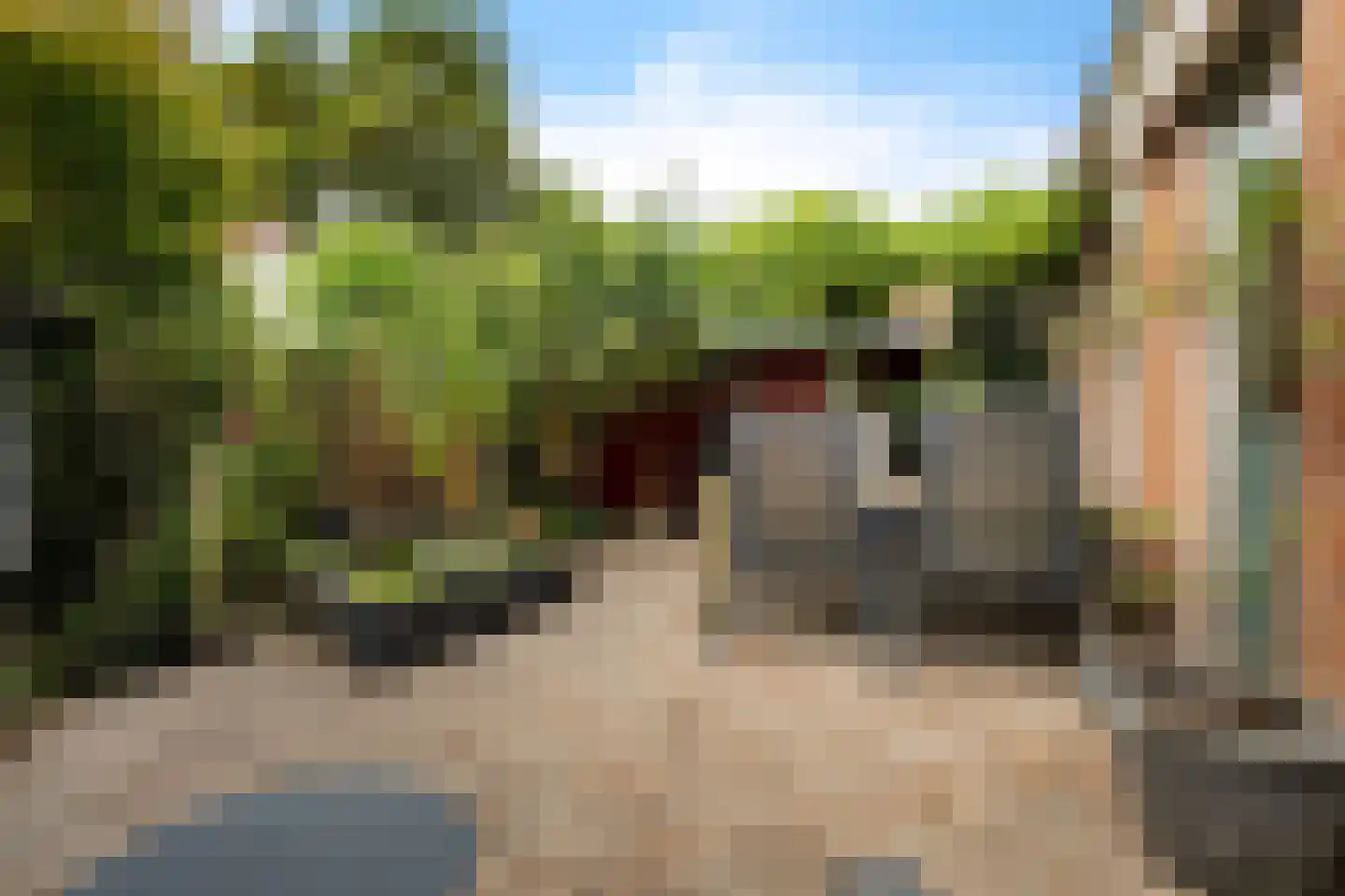 Weegbree 23 Zwaag thumbnail 25