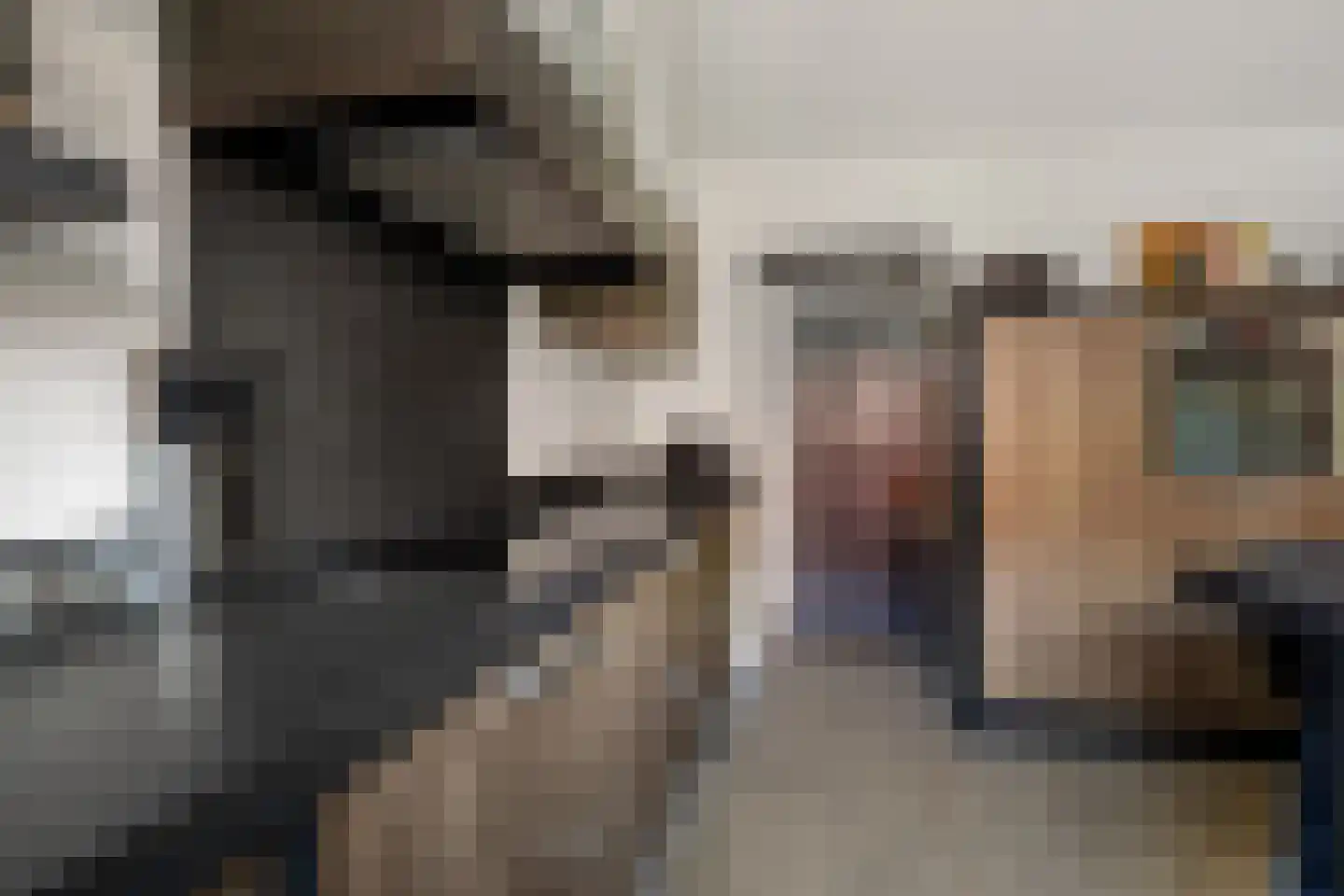 Weegbree 23 Zwaag thumbnail 6