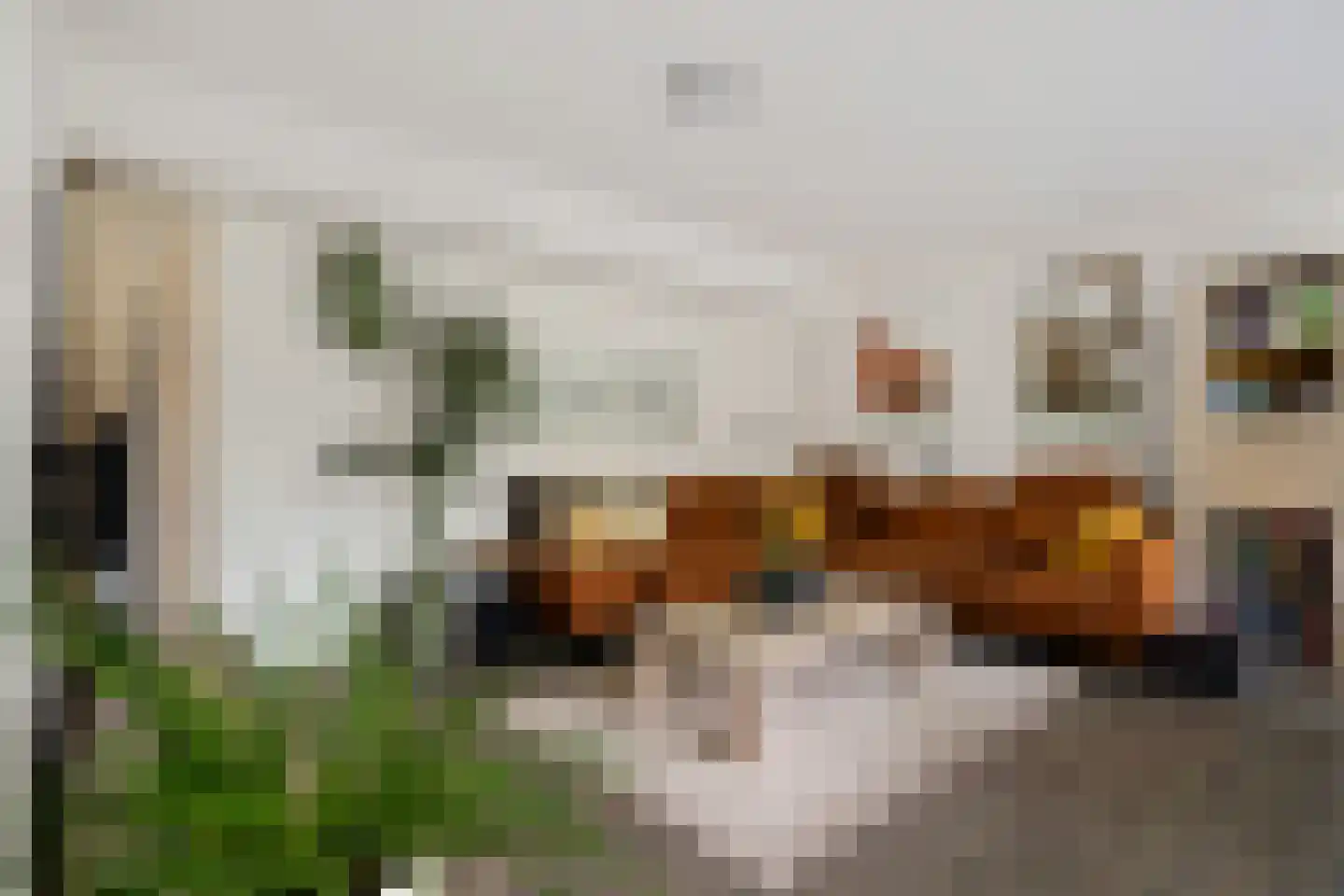 Weegbree 23 Zwaag thumbnail 8