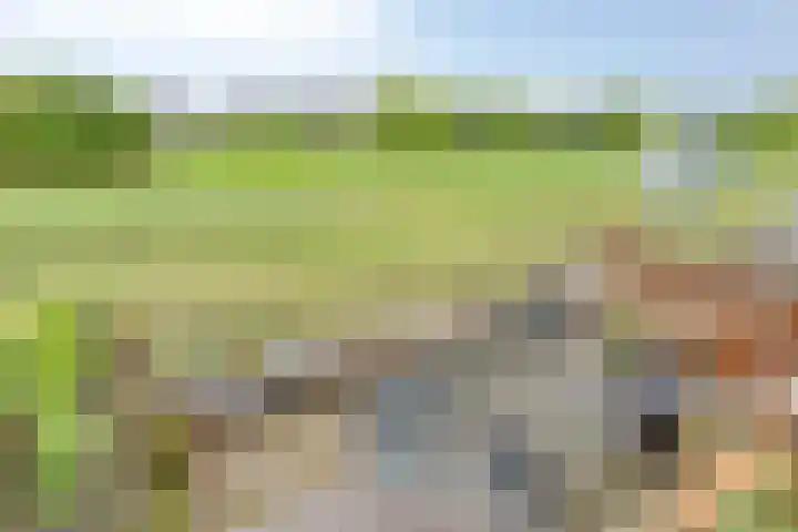 Weegbree 25 Heerhugowaard thumbnail 35