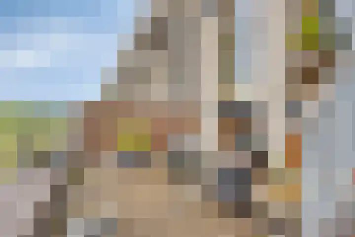 Weegbree 25 Heerhugowaard thumbnail 36