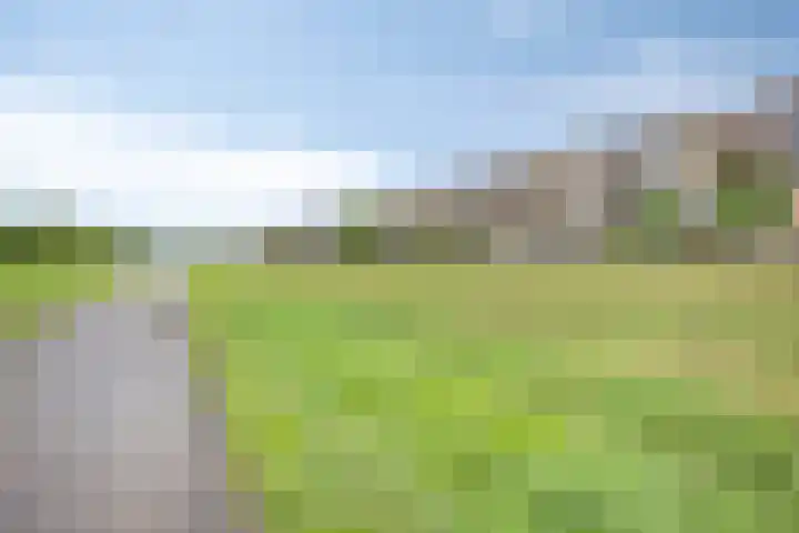 Weegbree 25 Heerhugowaard thumbnail 39