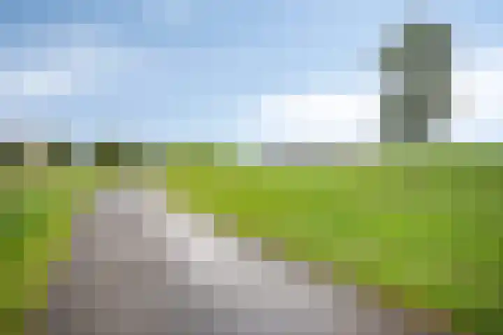 Weegbree 25 Heerhugowaard thumbnail 40