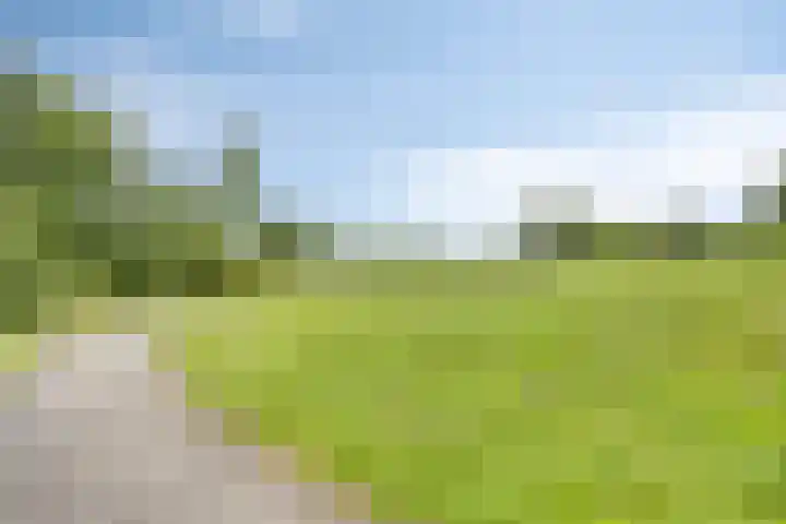 Weegbree 25 Heerhugowaard thumbnail 41