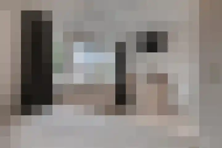 Weegbree 26 Mierlo thumbnail 24