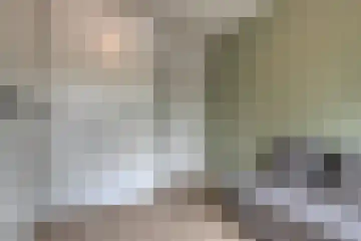Weegbree 26 Mierlo thumbnail 27