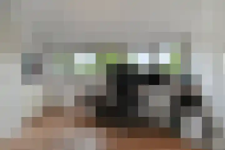 Weegbree 26 Mierlo thumbnail 32