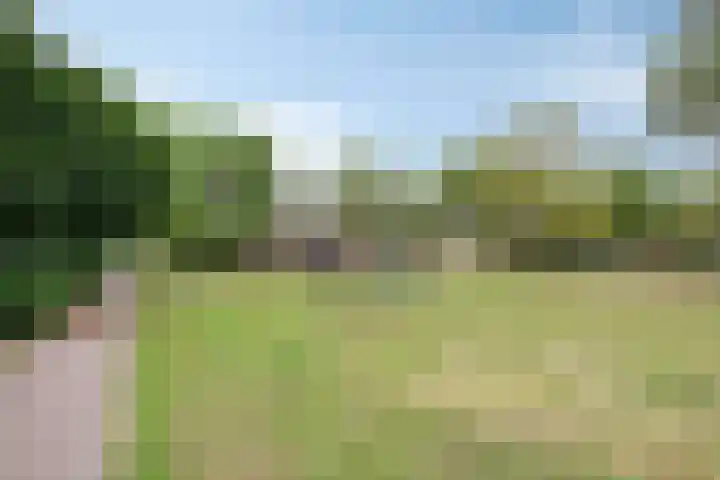 Weegbree 26 Mierlo thumbnail 39