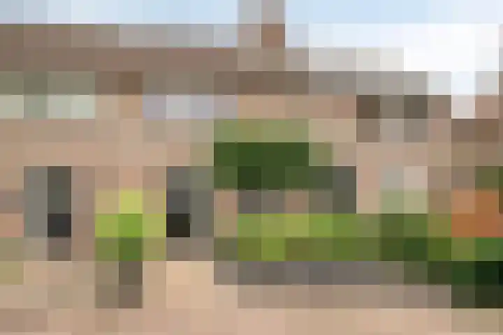 Weegbree 26 Mierlo thumbnail 8