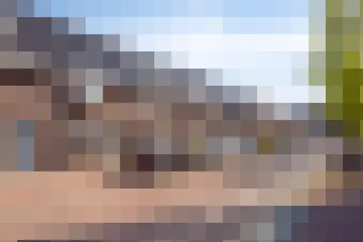 Weegbree 26 Pijnacker