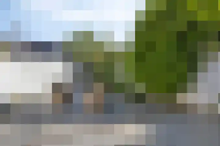 Weegbree 26 Pijnacker thumbnail 23
