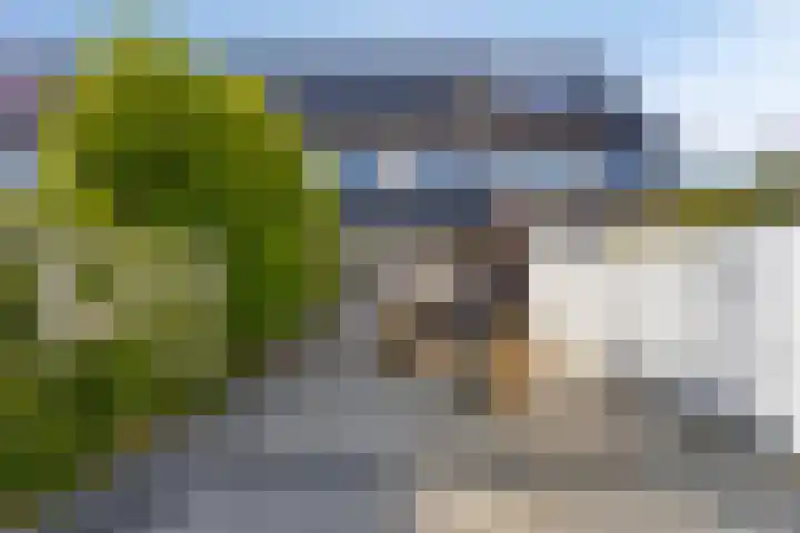 Weegbree 26 Pijnacker thumbnail 25