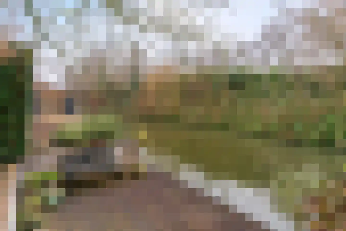 Weegbree 26 Uithoorn thumbnail 17