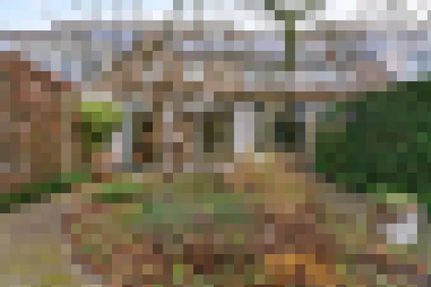 Weegbree 26 Uithoorn thumbnail 18