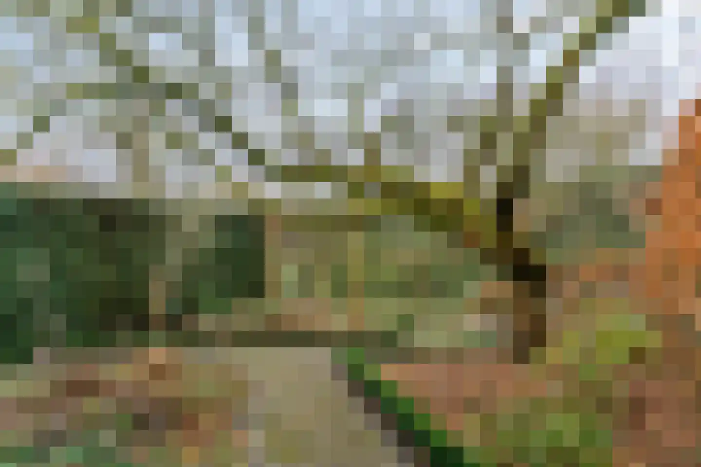 Weegbree 26 Uithoorn thumbnail 19