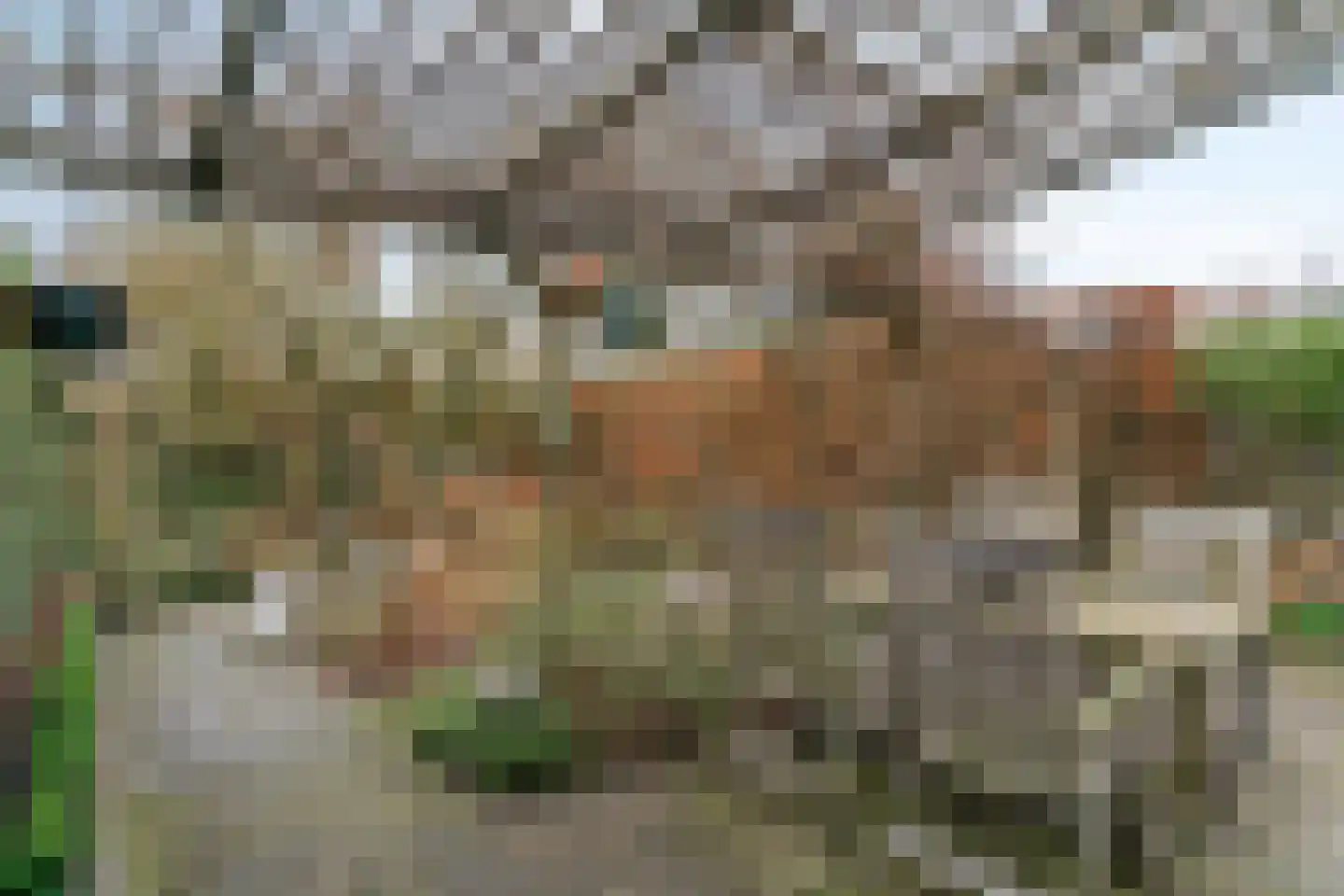Weegbree 26 Uithoorn thumbnail 20