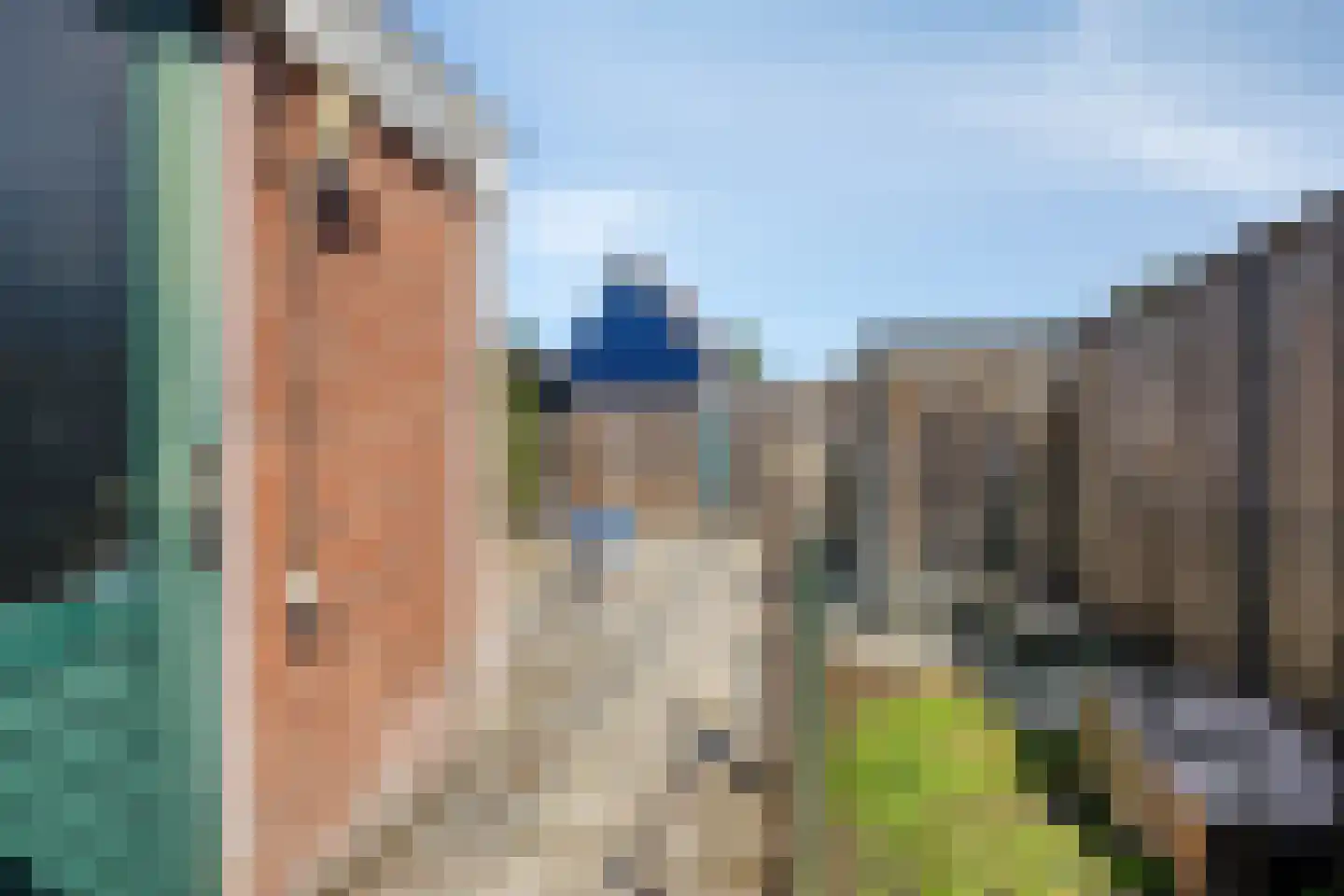 Weegbree 27 Zwaag thumbnail 26