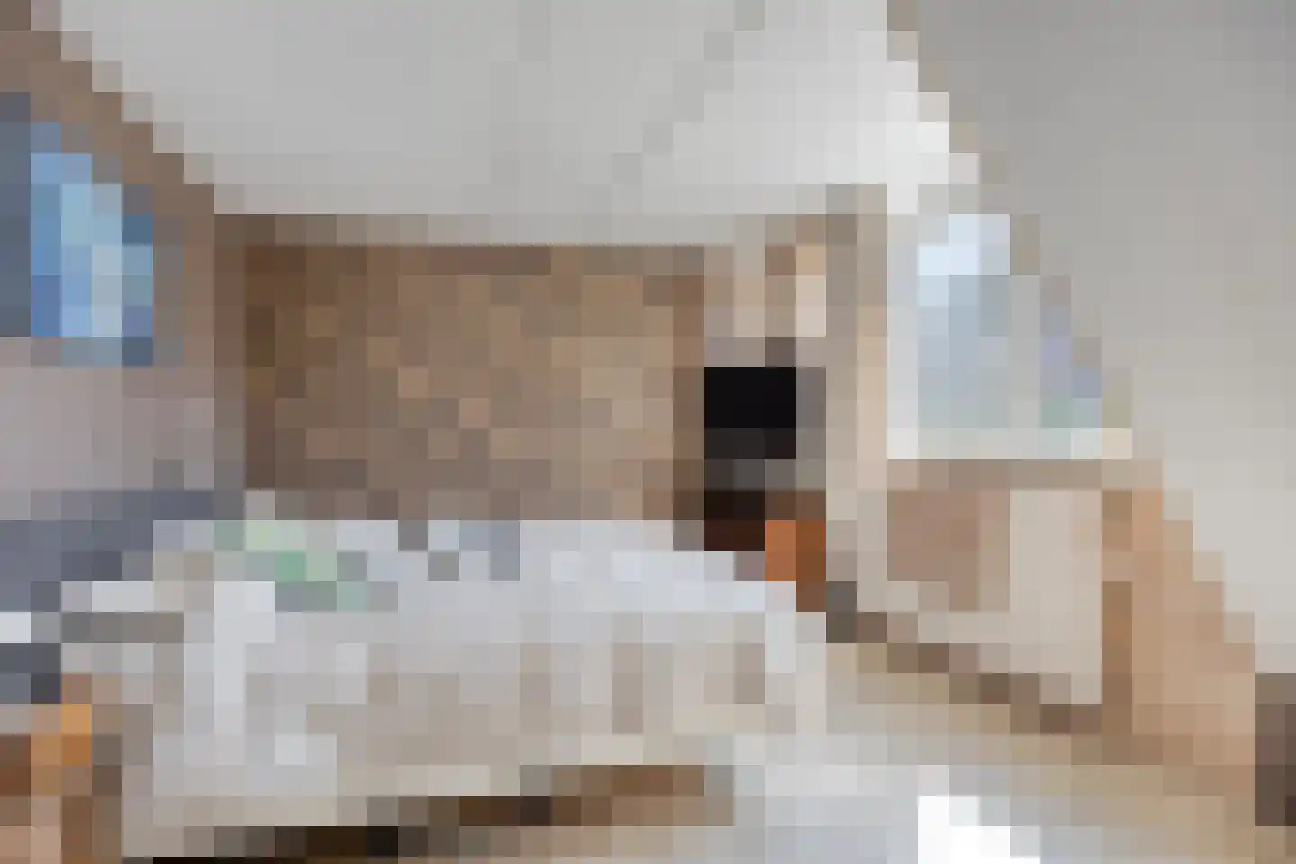 Weegbree 27 Zwaag thumbnail 4