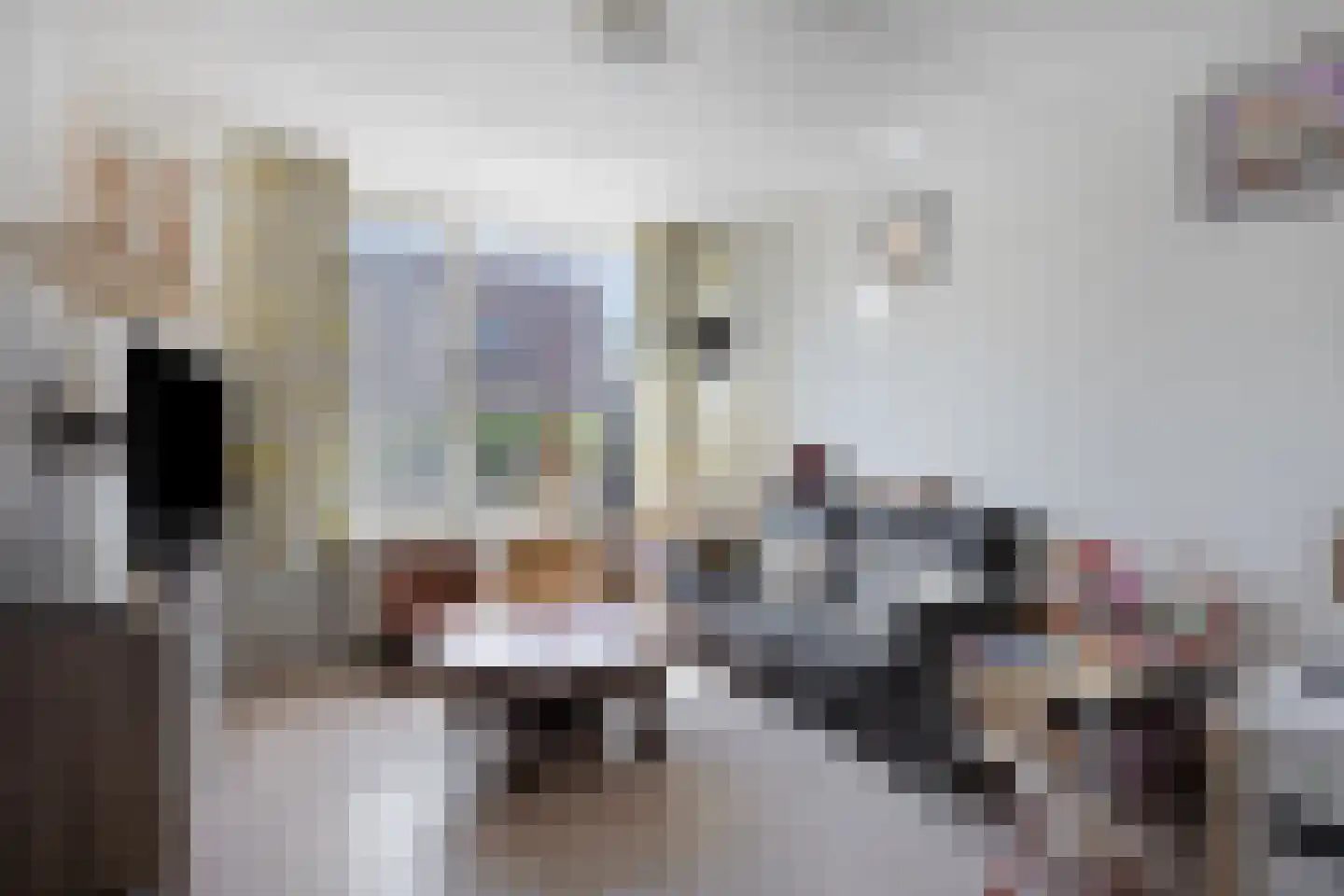 Weegbree 27 Zwaag thumbnail 8