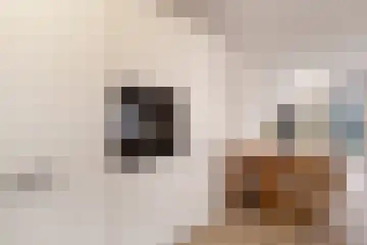 Weegbree 3 Hoogvliet Rotterdam thumbnail 13