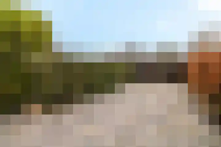 Weegbree 3 Hoogvliet Rotterdam thumbnail 19