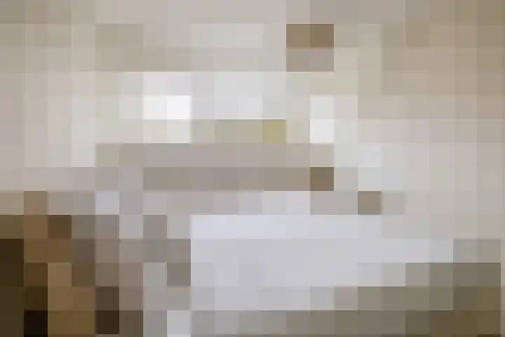 Weegbree 3 Hoogvliet Rotterdam thumbnail 23