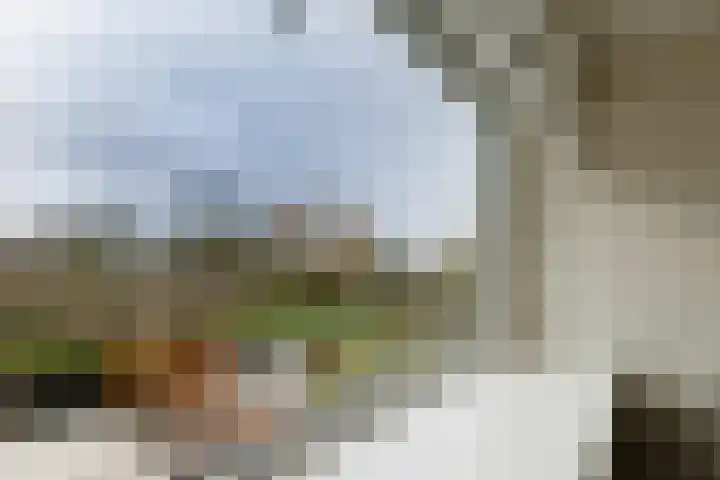 Weegbree 3 Hoogvliet Rotterdam thumbnail 24
