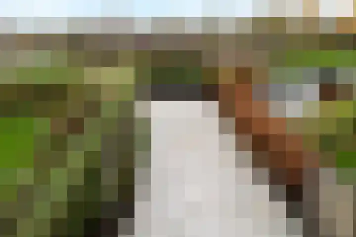 Weegbree 3 Hoogvliet Rotterdam thumbnail 25