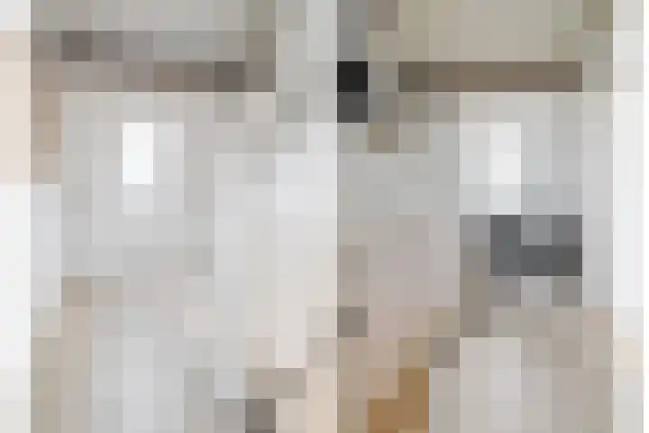 Weegbree 3 Hoogvliet Rotterdam thumbnail 33