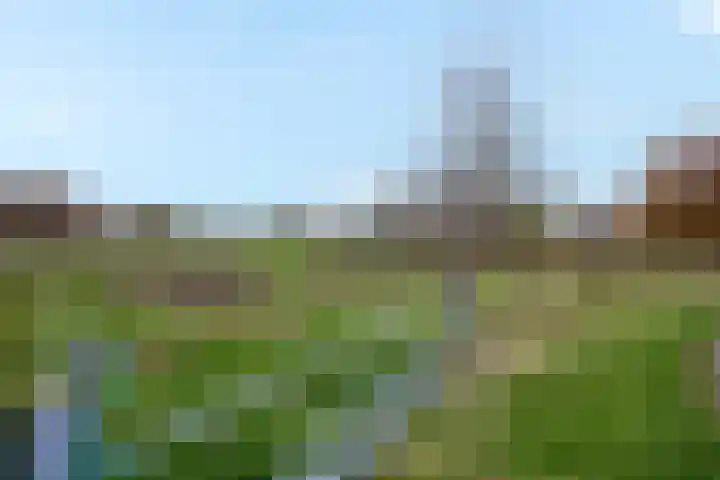 Weegbree 3 Hoogvliet Rotterdam thumbnail 39