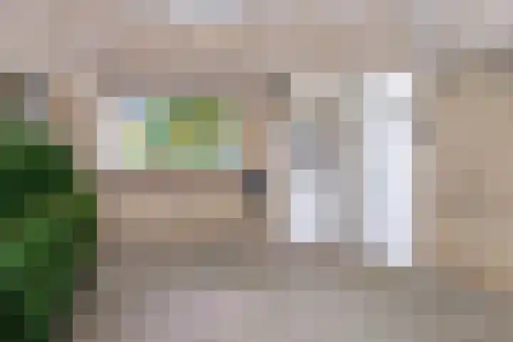Weegbree 3 Hoogvliet Rotterdam thumbnail 5