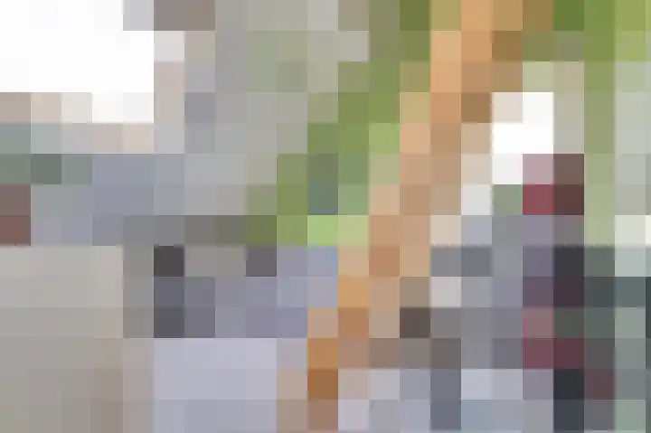 Weegbree 3 Kapelle thumbnail 25