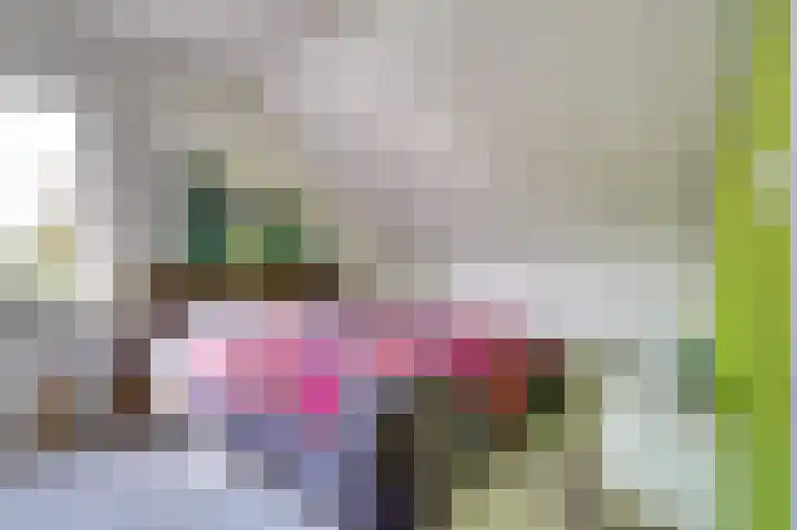 Weegbree 3 Kapelle thumbnail 29