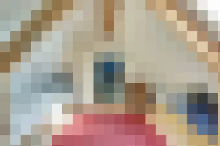 Weegbree 3 Kapelle thumbnail 34