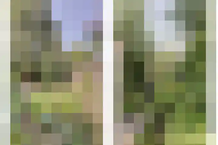 Weegbree 3 Kapelle thumbnail 36