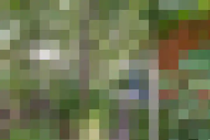 Weegbree 3 Kapelle thumbnail 39