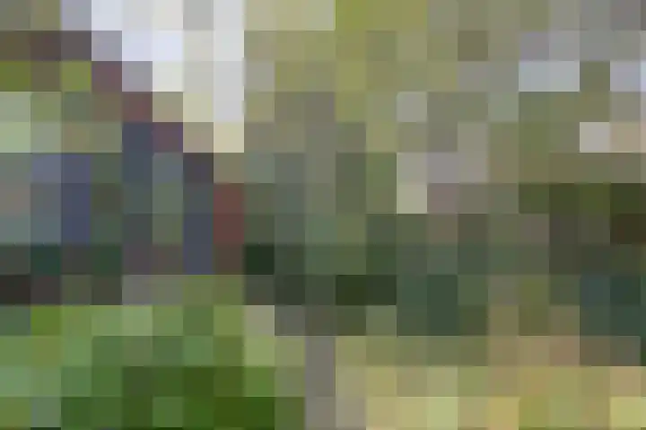 Weegbree 3 Kapelle thumbnail 40