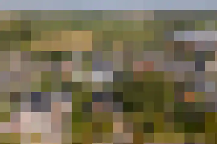 Weegbree 3 Kapelle thumbnail 43