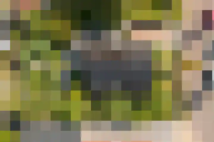 Weegbree 3 Kapelle thumbnail 46