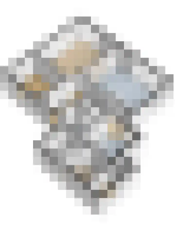 Weegbree 3 Kapelle thumbnail 53