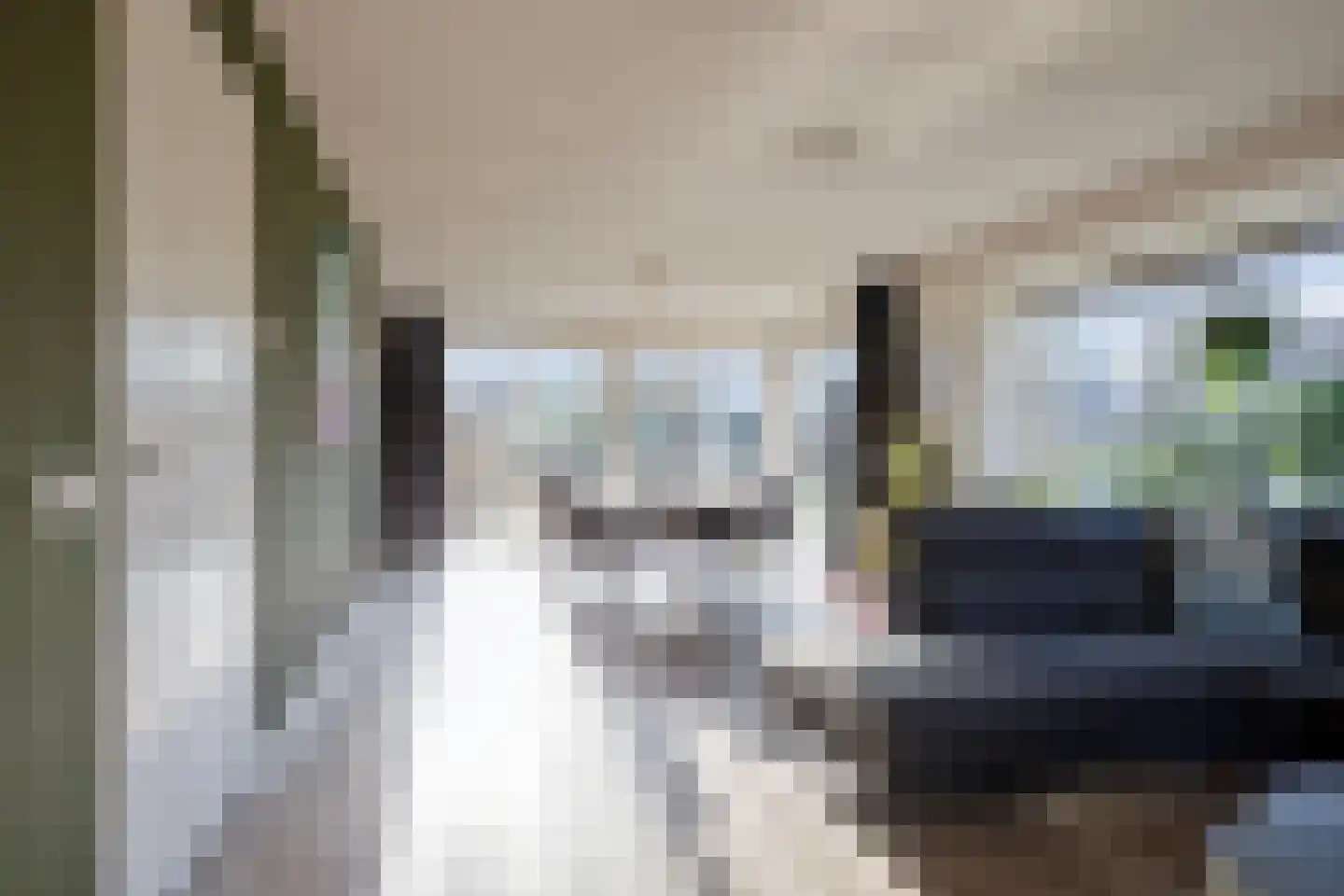 Weegbree 31 Grootegast thumbnail 10