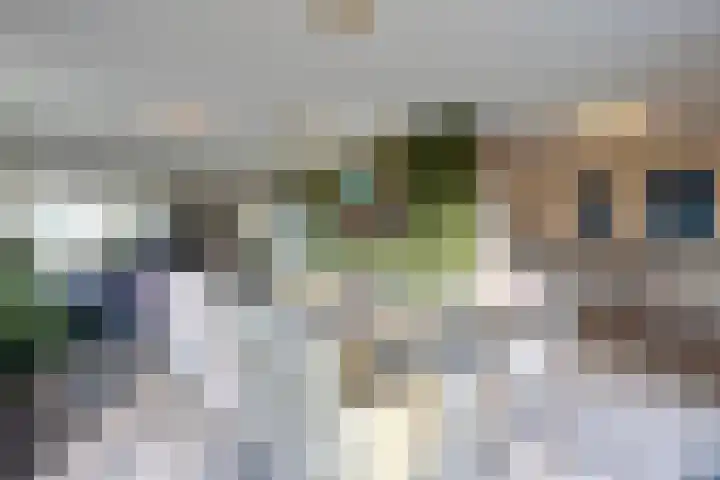 Weegbree 31 Grootegast thumbnail 12